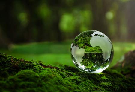 Ways Chemical Distributors Can Achieve Better Success 